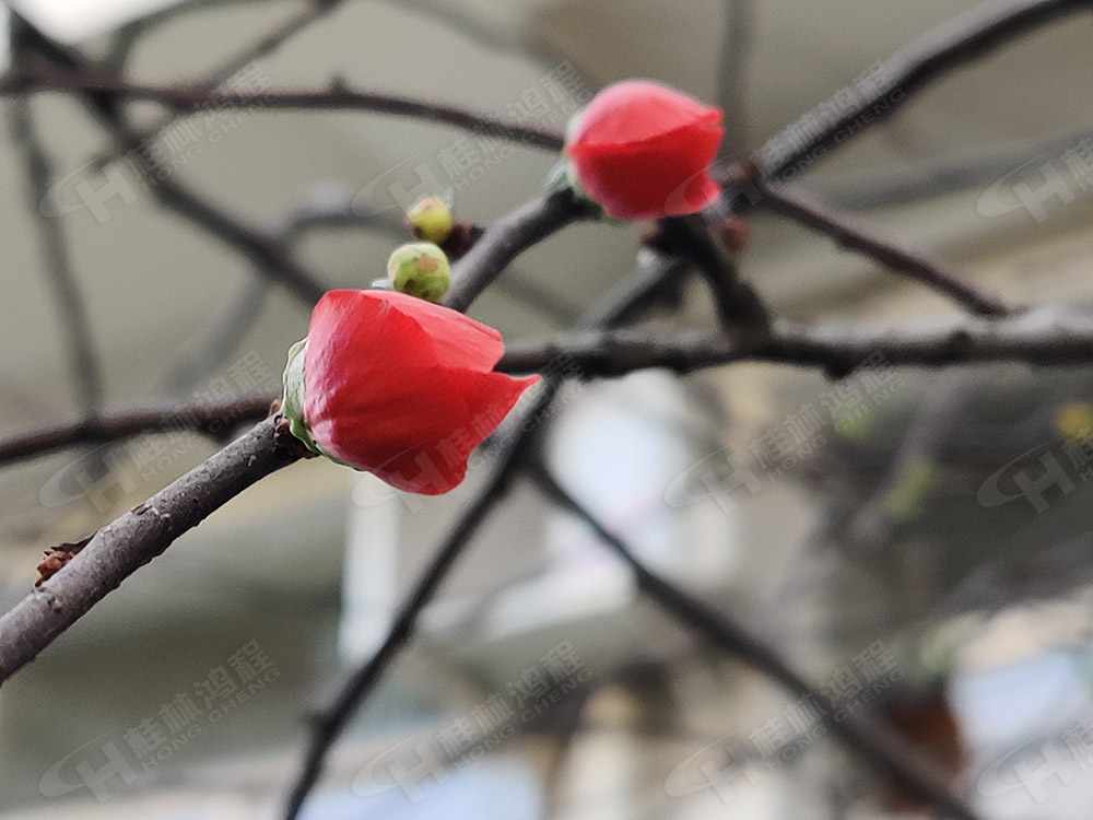 桂林鴻程花團錦簇，滿園春色，邀您一起共賞春景，共商大計！