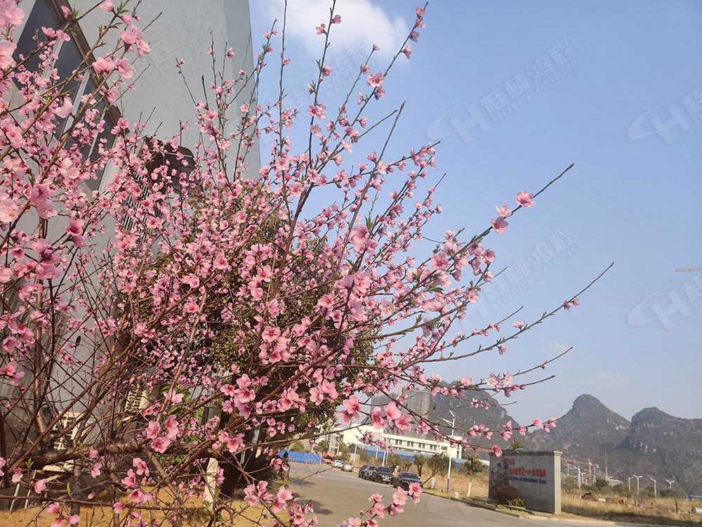 桂林鴻程花團錦簇，滿園春色，邀您一起共賞春景，共商大計！